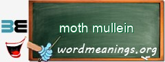 WordMeaning blackboard for moth mullein